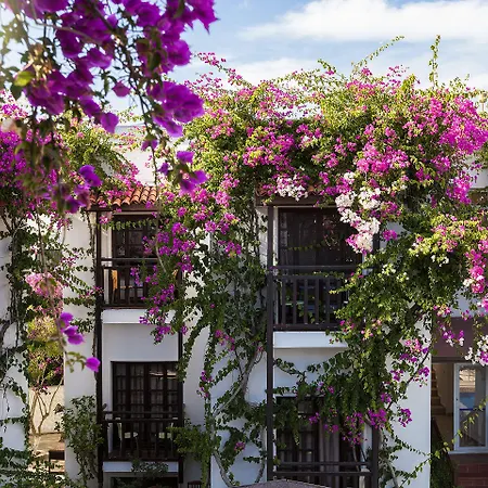 Отель Orion Битез