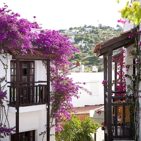 Orion Отель Битез