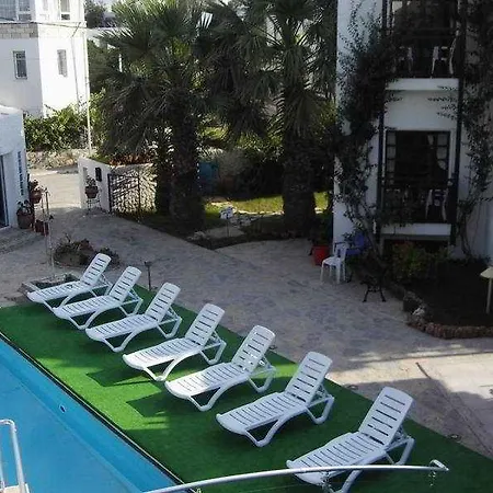 Hotel Orion