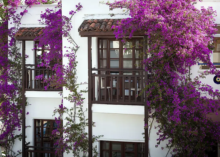 Hotel Orion 3*